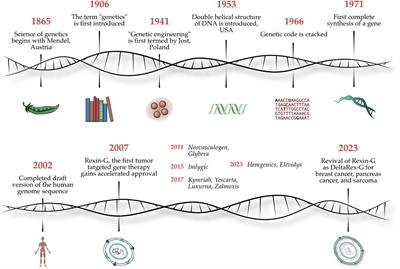 Editorial: Celebrating the 200th mendel’s anniversary: gene-targeted diagnostics and therapies for cancer